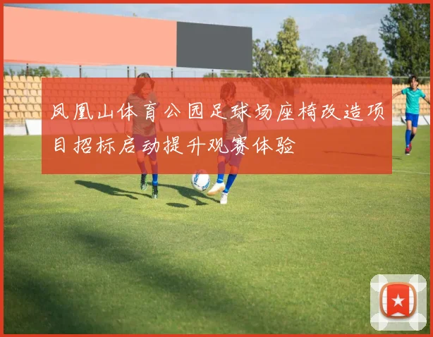 凤凰山体育公园足球场座椅改造项目招标启动提升观赛体验