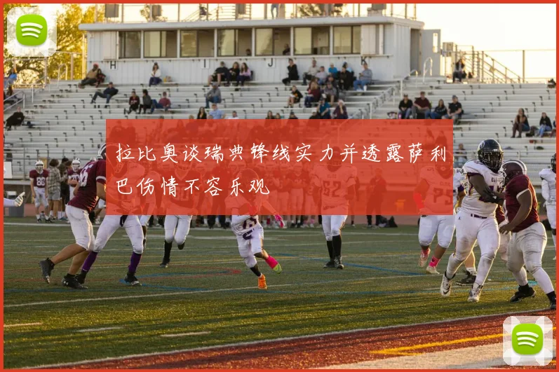 拉比奥谈瑞典锋线实力并透露萨利巴伤情不容乐观