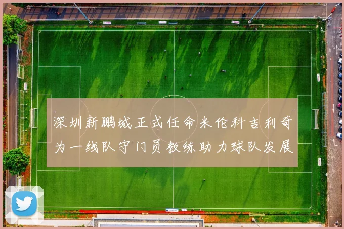 深圳新鹏城正式任命米伦科吉利奇为一线队守门员教练助力球队发展
